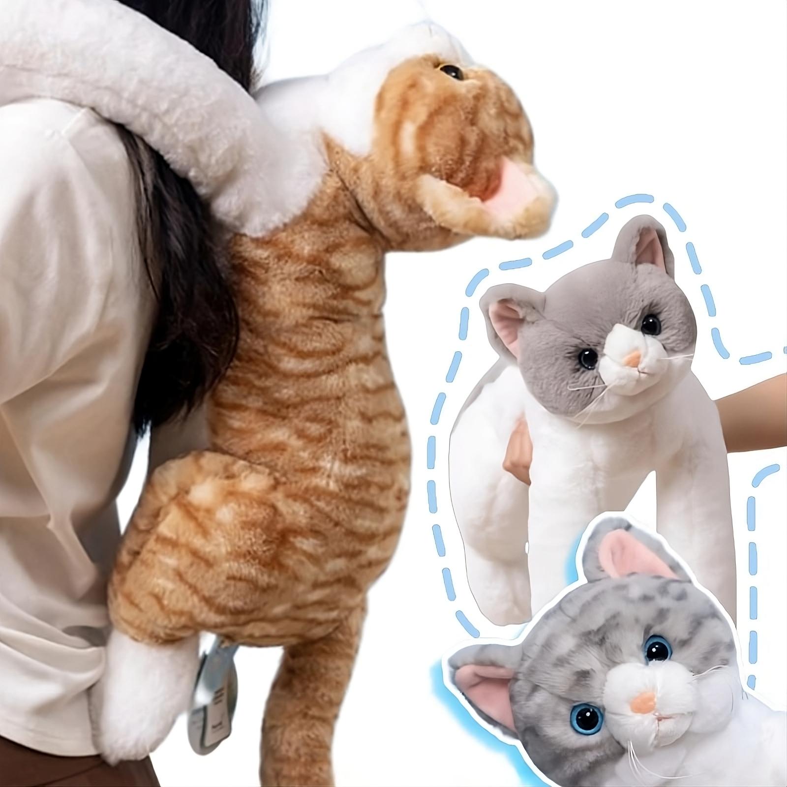 Een heerlijke kattenknuffel om te omarmen