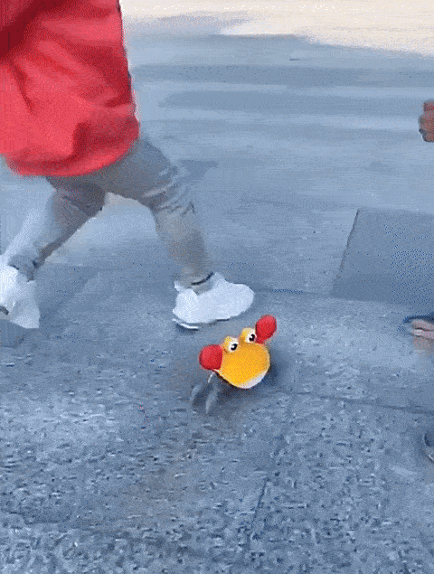 Kruipende  Baby Krab Speelgoed met Muziek